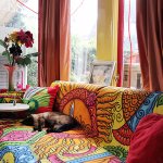 colorful livingroomplus siamese-1